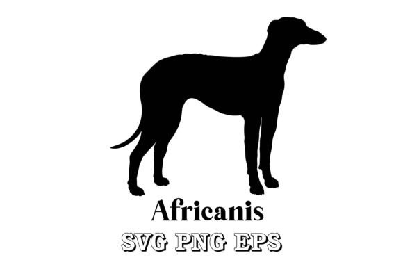 Africanis Dog Silhouette: A Designer’s Honest Review