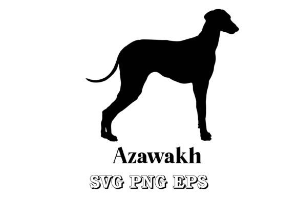 Azawakh Dog Silhouette Breeds Vector Review