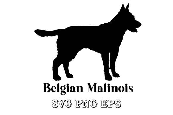 Belgian Malinois Dog Silhouette Vector