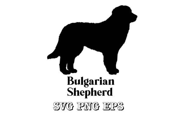 Bulgarian Shepherd Dog Silhouette Review