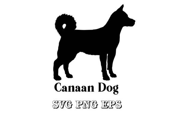 Canaan Dog Silhouette: A Designer's Review