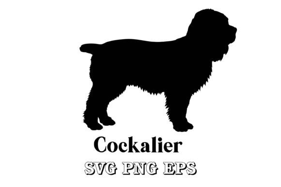 Cockalier Dog Silhouette Dog Breeds