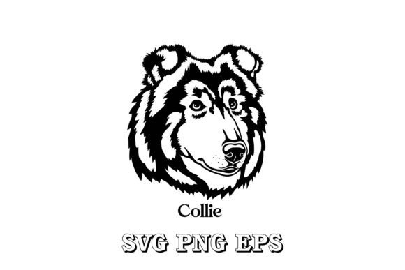 Collie Dog Silhouette Breeds Vector Review