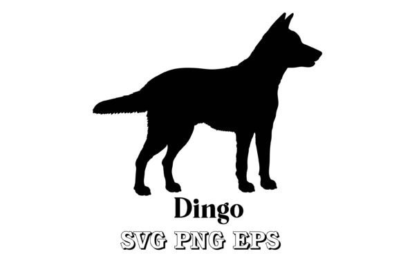 Dingo Dog Silhouette Dog Breeds Review
