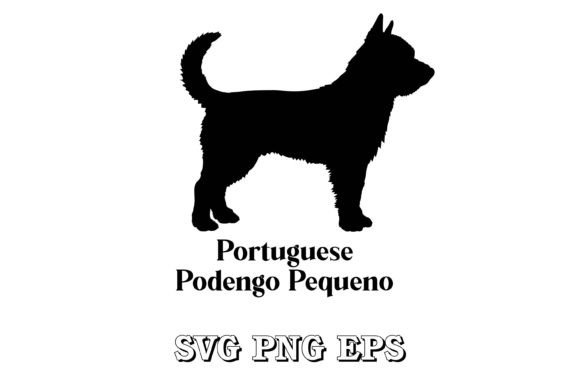 Portuguese Podengo Pequeno Vector