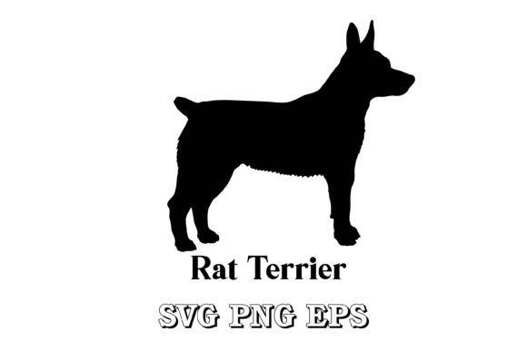 Rat Terrier Embroidery Design: What to Expect Before You Stitch