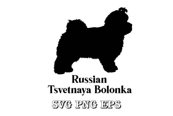 Russian Tsvetnaya Bolonka Dog Silhouette